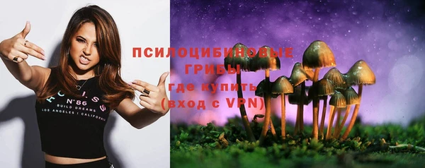 гашик Богородицк