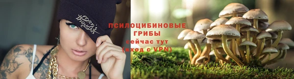 мескалин Богородск