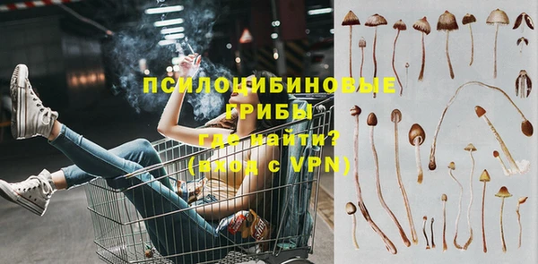 гашик Богородицк