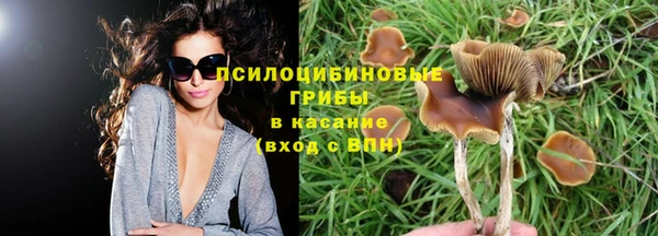 меф VHQ Богданович