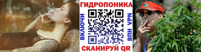 закладка  Ставрополь  Конопля гибрид 